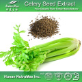 100% Natural Celery Seed Extract (5: 1; 10: 1, 20: 1; Apigenin 1.2%~5%)